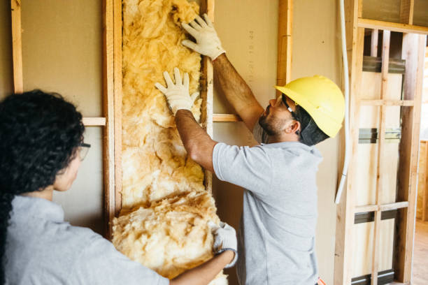 Professional Insulation in Celina, TN